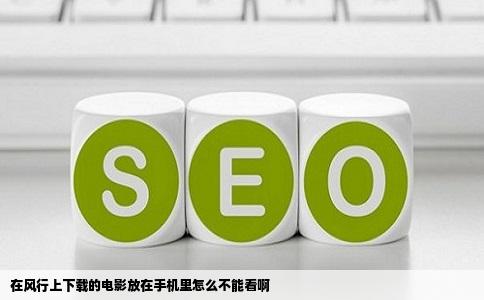 在风行上下载的电影放在手机里怎么不能看啊