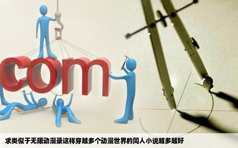 求类似于无限动漫录这样穿越多个动漫世界的同人小说越多越好