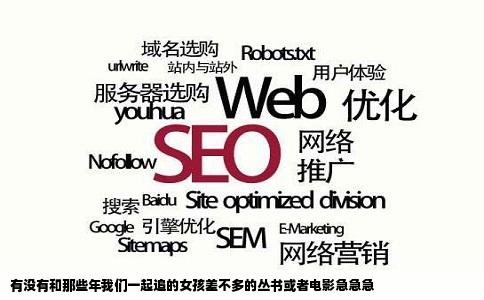 有没有和那些年我们一起追的女孩差不多的丛书或者电影急急急