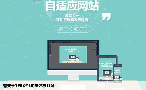 有关于TFBOYS的综艺节目吗