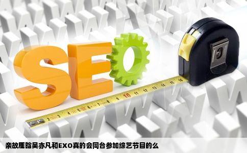 亲故鹿晗吴亦凡和EXO真的会同台参加综艺节目的么