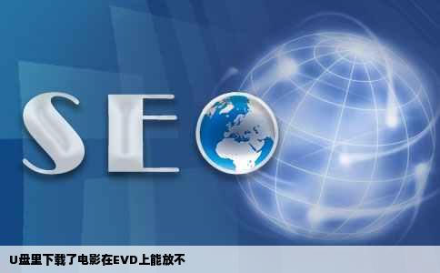 U盘里下载了电影在EVD上能放不