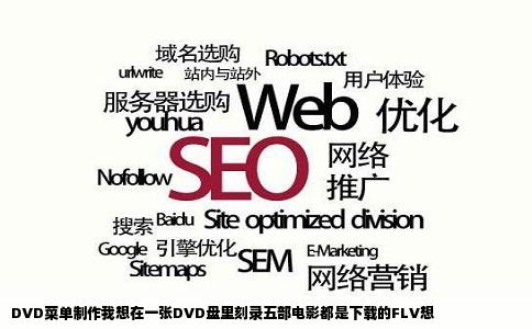 DVD菜单制作我想在一张DVD盘里刻录五部电影都是下载的FLV想