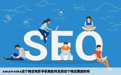 xmatroska这个格式电影手机有软件支持这个格式播放的吗