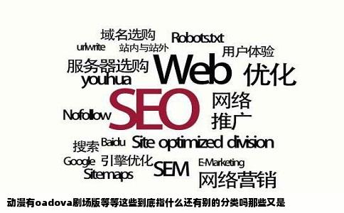 动漫有oadova剧场版等等这些到底指什么还有别的分类吗那些又是