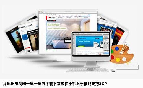 我想把电视剧一集一集的下载下来放在手机上手机只支持3GP