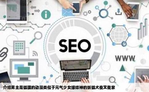 介绍男主是狐狸的动漫类似于元气少女缘结神的妖狐犬夜叉我家