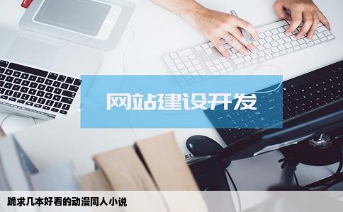 跪求几本好看的动漫同人小说