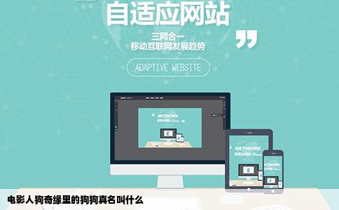 电影人狗奇缘里的狗狗真名叫什么