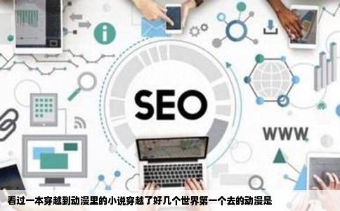 看过一本穿越到动漫里的小说穿越了好几个世界第一个去的动漫是