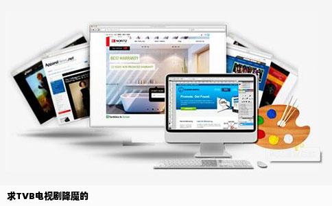 求TVB电视剧降魔的