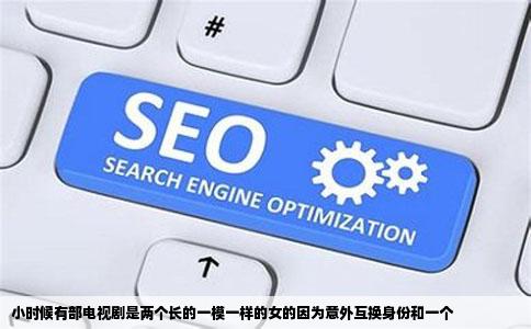 小时候有部电视剧是两个长的一模一样的女的因为意外互换身份和一个