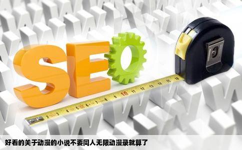 好看的关于动漫的小说不要同人无限动漫录就算了