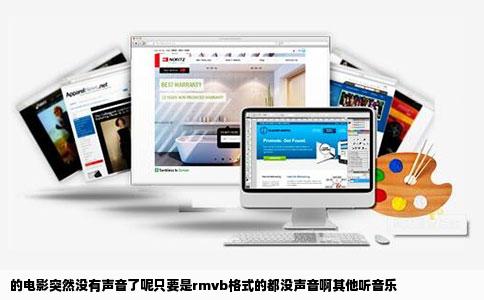 的电影突然没有声音了呢只要是rmvb格式的都没声音啊其他听音乐