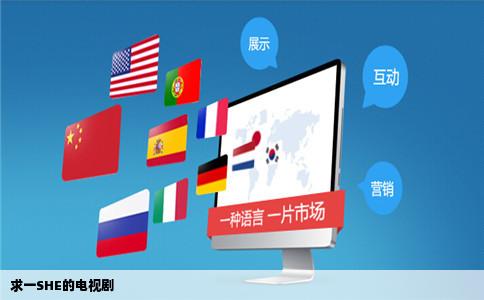 求一SHE的电视剧