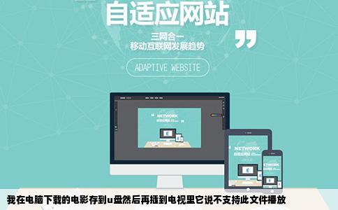 我在电脑下载的电影存到u盘然后再插到电视里它说不支持此文件播放