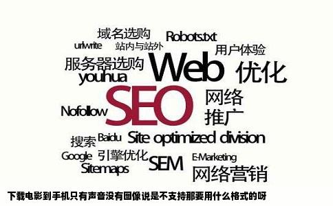 下载电影到手机只有声音没有图像说是不支持那要用什么格式的呀