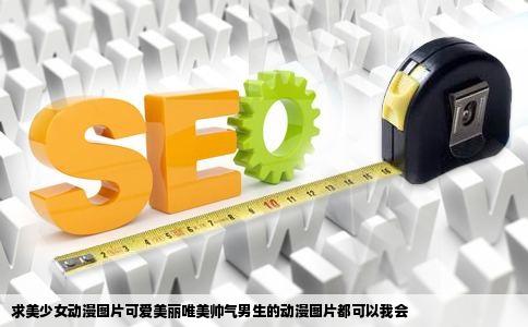 求美少女动漫图片可爱美丽唯美帅气男生的动漫图片都可以我会