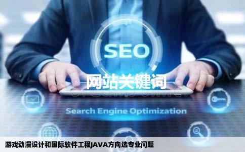 游戏动漫设计和国际软件工程JAVA方向选专业问题