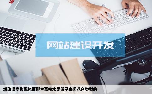 求动漫类似黑执事樱兰高校水果篮子未闻花名类型的