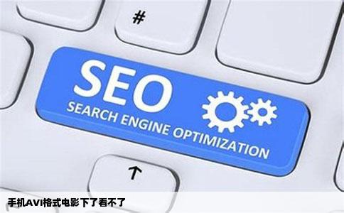 手机AVI格式电影下了看不了