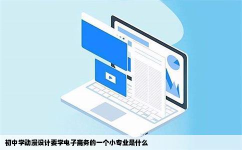 初中学动漫设计要学电子商务的一个小专业是什么