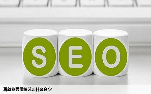 再就业男团综艺叫什么名字