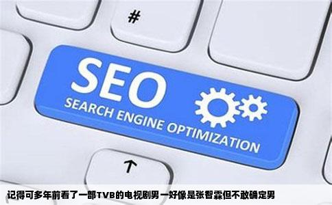 记得可多年前看了一部TVB的电视剧男一好像是张智霖但不敢确定男