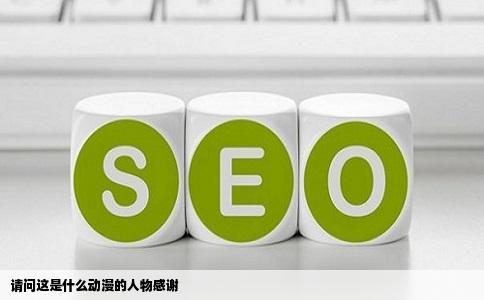 请问这是什么动漫的人物感谢