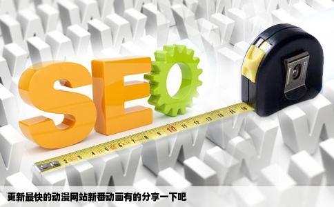 更新最快的动漫网站新番动画有的分享一下吧