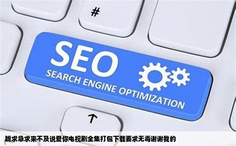 跪求急求来不及说爱你电视剧全集打包下载要求无毒谢谢我的