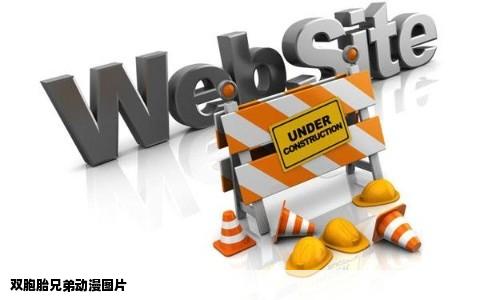 双胞胎兄弟动漫图片