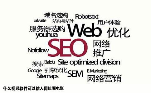 什么视频软件可以输入网址看电影