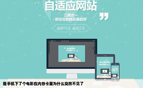 我手机下了个电影在内存卡里为什么突然不见了