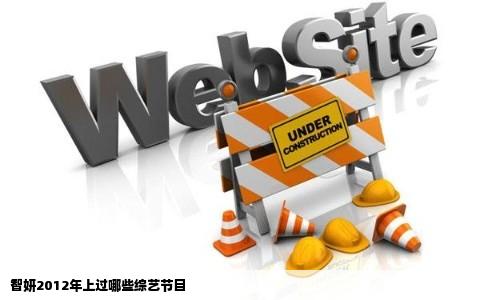 智妍2012年上过哪些综艺节目