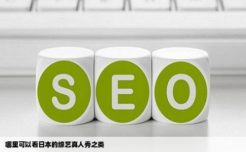 哪里可以看日本的综艺真人秀之类