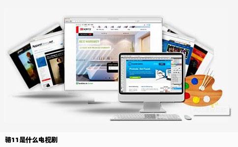 骆11是什么电视剧