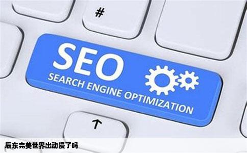 辰东完美世界出动漫了吗