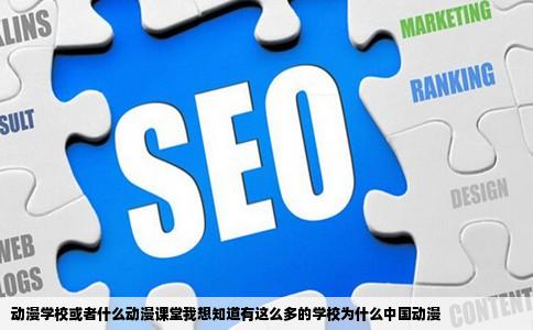 动漫学校或者什么动漫课堂我想知道有这么多的学校为什么中国动漫