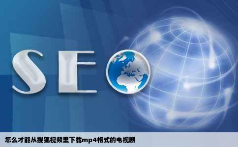 怎么才能从搜狐视频里下载mp4格式的电视剧