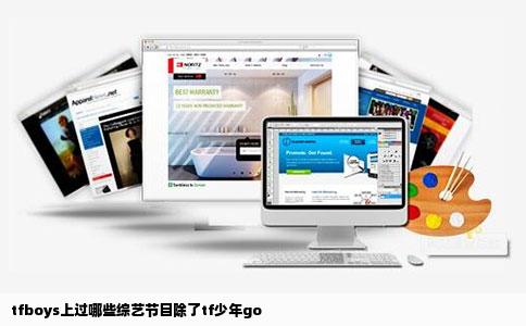 tfboys上过哪些综艺节目除了tf少年go