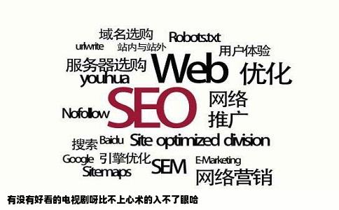 有没有好看的电视剧呀比不上心术的入不了眼哈