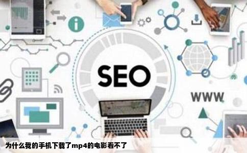 为什么我的手机下载了mp4的电影看不了