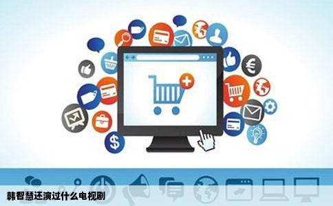 韩智慧还演过什么电视剧