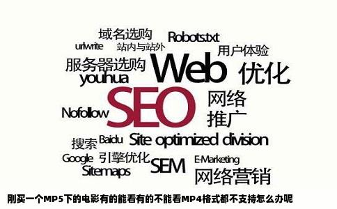 刚买一个MP5下的电影有的能看有的不能看MP4格式都不支持怎么办呢