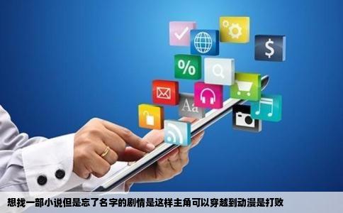 想找一部小说但是忘了名字的剧情是这样主角可以穿越到动漫是打败