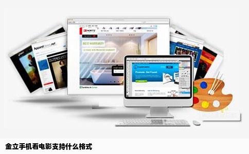 金立手机看电影支持什么格式