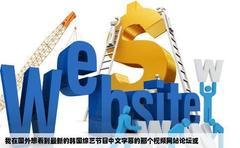 我在国外想看到最新的韩国综艺节目中文字幕的那个视频网站论坛或