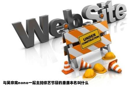 与吴宗宪nono一起主持综艺节目的康康本名叫什么