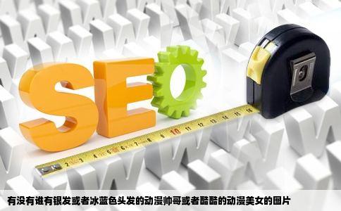 有没有谁有银发或者冰蓝色头发的动漫帅哥或者酷酷的动漫美女的图片